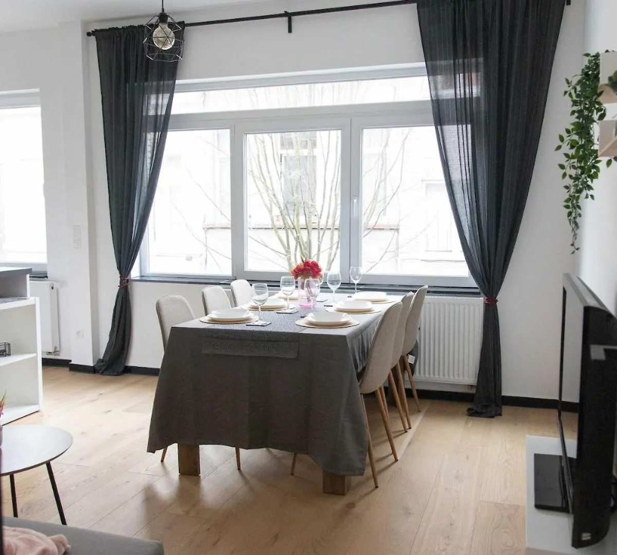 Citynest In Antwerp Centrum contacts